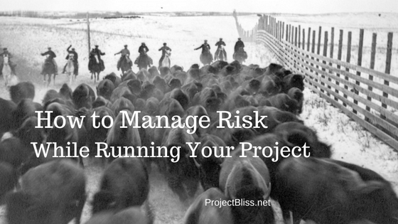 Managing Project Risk