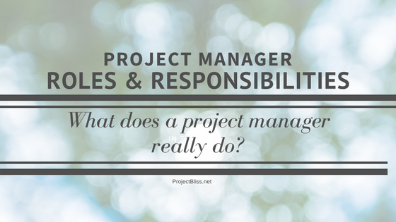 project manager roles and responsibilities