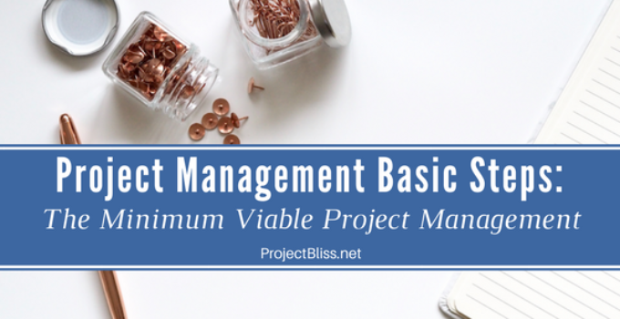 project management basic steps