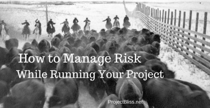 project risk management