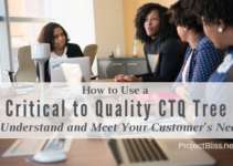 How to Use a Critical to Quality CTQ Tree - Here's how to use the Critical to Quality CTQ Tree to break customer needs and requirements into details that can be measured and met. #projectmanagement https://projectbliss.net/critical-to-quality-ctq-tree/
