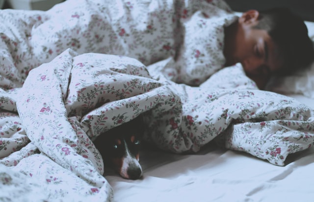 why sleep is important-man and dog under covers in bed